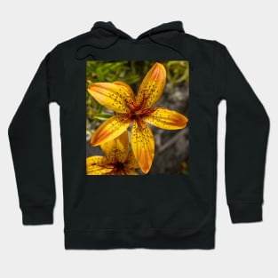 Yellow Spotted Lily Flower Closeup. Hoodie